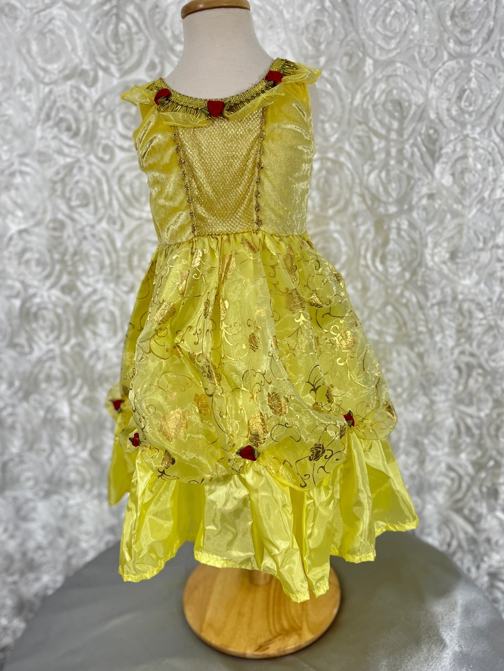 Little Adventures Princess Belle Costume Dress for Kids